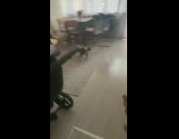 Guy slaps butt then chases after dog who runs away