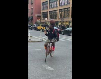 Guy yells I got it basketball bicycle 