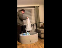 Puppy plays inside the pit with balls