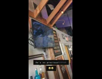 Collab Clips mpugc - Dog watching tv at bar