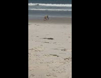 Guy on all fours stretches beach sand 