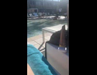 Woman bikini bend over for pool photo