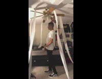 Guy toilet paper fan in room