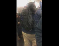 Black dog in baby carrier back pack