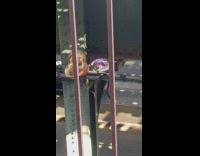 Balloons stuck on train tracks metal beam