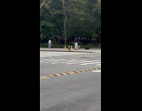 Man dance on street sidewalk near dog