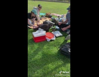 Collab BitchIG2 - Lady takes grey cat to park