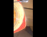 Poop on stairs by dog  eyes glow