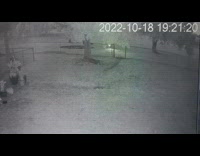 Pet dog walks in the backyard with a flashlight caught on CCTV Camera