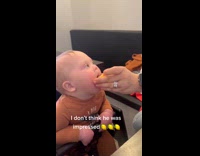 Collab ClipsIG - Toddler tries lemon for the first time