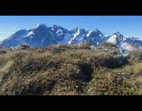 Grass snowy mountains clear blue sky view