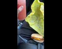 Mcmuffin rolls onto womans lap as boyfriend speeds up 