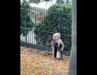 Man collect dried leaves throw on air