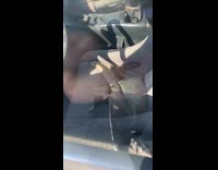 Collab DailyDoseOfInternet - Blue car parked broken glass cat inside ran