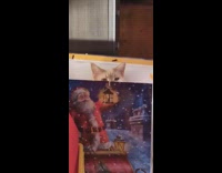 Cat behind santa claus poster peek blink