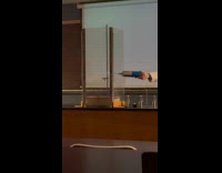 Professor does fire explosion experiment in class