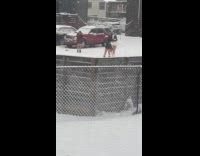 Three women bikini poses outside the snow