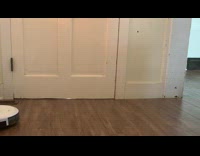 Young chick ride on roomba robot vacuum