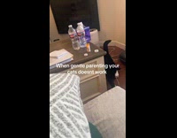 Two cats told to go to bed