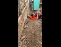 Guy pushes wheel barrel down dirt path, slips and falls on the ground