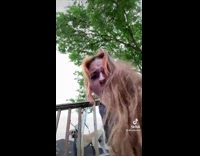 Girl falls and lands on neck fail 