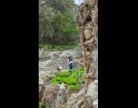 Collab IITW - Woman in blue shirt tiktok dance at the Tea Garden