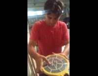 Curious guy tries pressing electric fly swatter