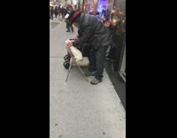 Man grooms pet bunny 