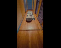 Rumba on floor blocked by stick barricade