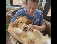 Guy holds pets golden retriever dog chair