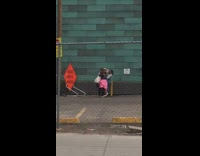 Girl takes photo blue wall yellow pole