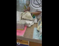 Parrot gets nails filed pedicure 