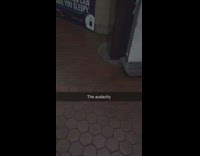 The audacity mice walks in front of trash can