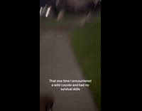 Girl and dog encounter coyote walking