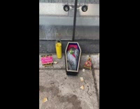 Pigeon inside small coffin small memorial