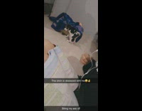 Puppy bites and distracts girl trying to study 