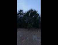 Shopping cart falls out of sky