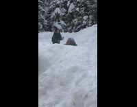 Woman face covered in snow picture