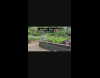 Girl catches dog stealing radish from garden 