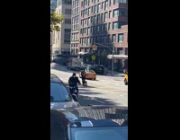 Guy dog both skateboard down street leash