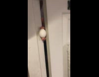 Mom lady falls for egg between door way prank fingers stuck