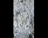Limestone rock falls apart when kicked by the filmer