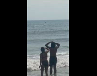 People watch whale from the beach