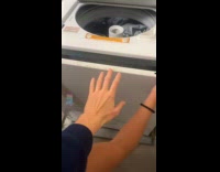 collab Clips_MPUGC - Roommates found missing socks inside washing machine 