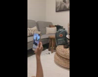 VSCO dog saves the turtles