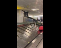 Worker kicks down luggage from baggage carousel