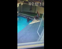 Security cam of guy in wheelchair rescue his dog in pool