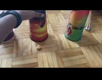 Black brown dog finds treat under cup 