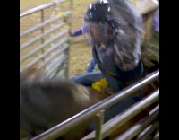 Dylan "da villain" goes bull riding falls off and gets stepped on by bull