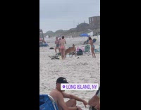 Wild deer on beach eat some food